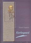 Kierkegaard - antropologia i dyskurs o człowieku. Monografia